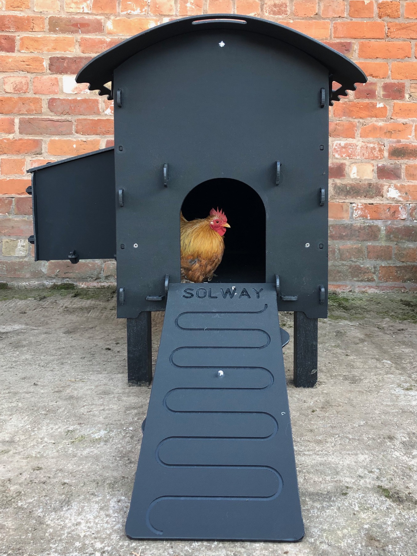 hen-houses-hansnett-farm